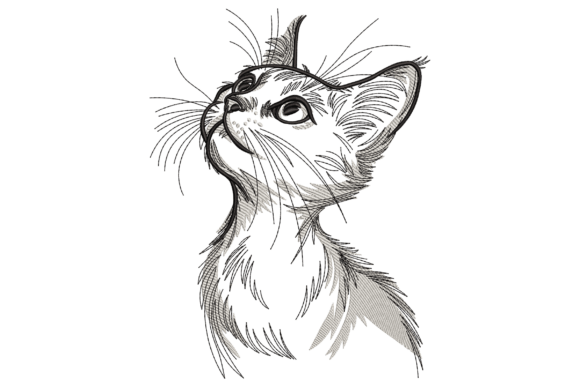 Curious Kitten Looking Up: A Charming Addition to Craft Fair Goods