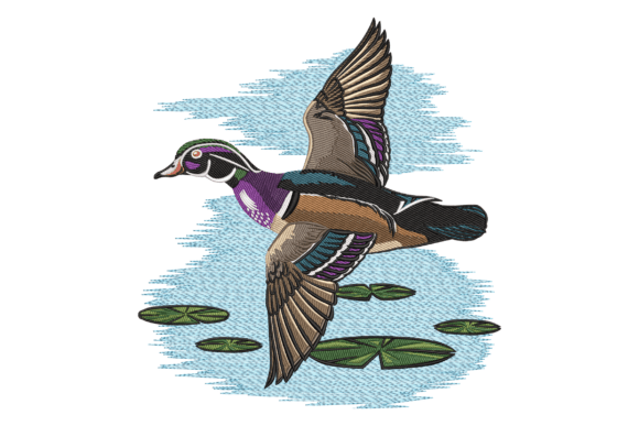 Flying Duck