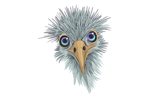 Funny Bird Face: A Playful Touch for Boutique Apparel