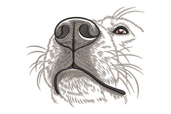h1Close-Up Dog Nose: A Designer’s Review for Personalized Gifts/h1